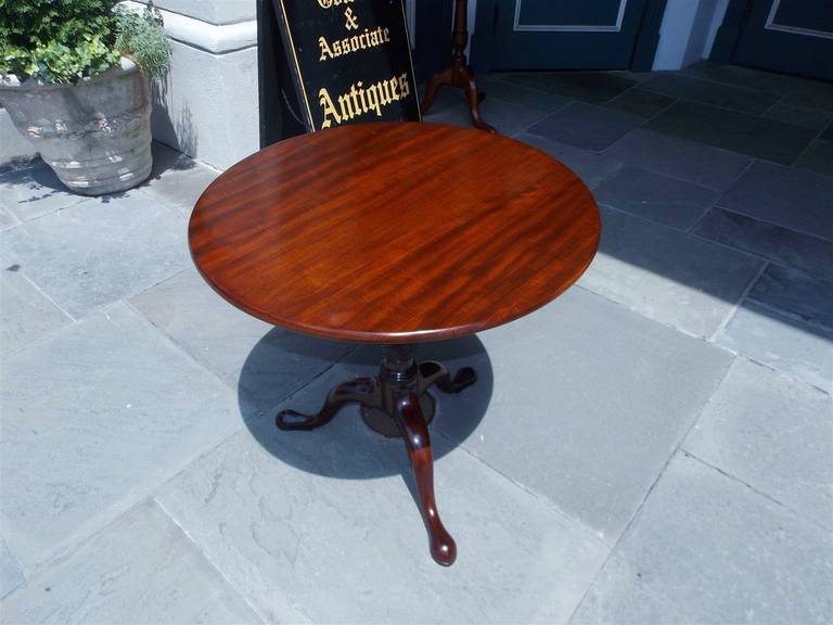 Charleston # 3568 - Image 2